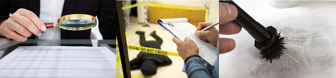 master criminalistica
